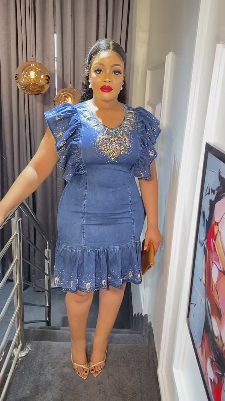 SHERNA DENIM DRESS